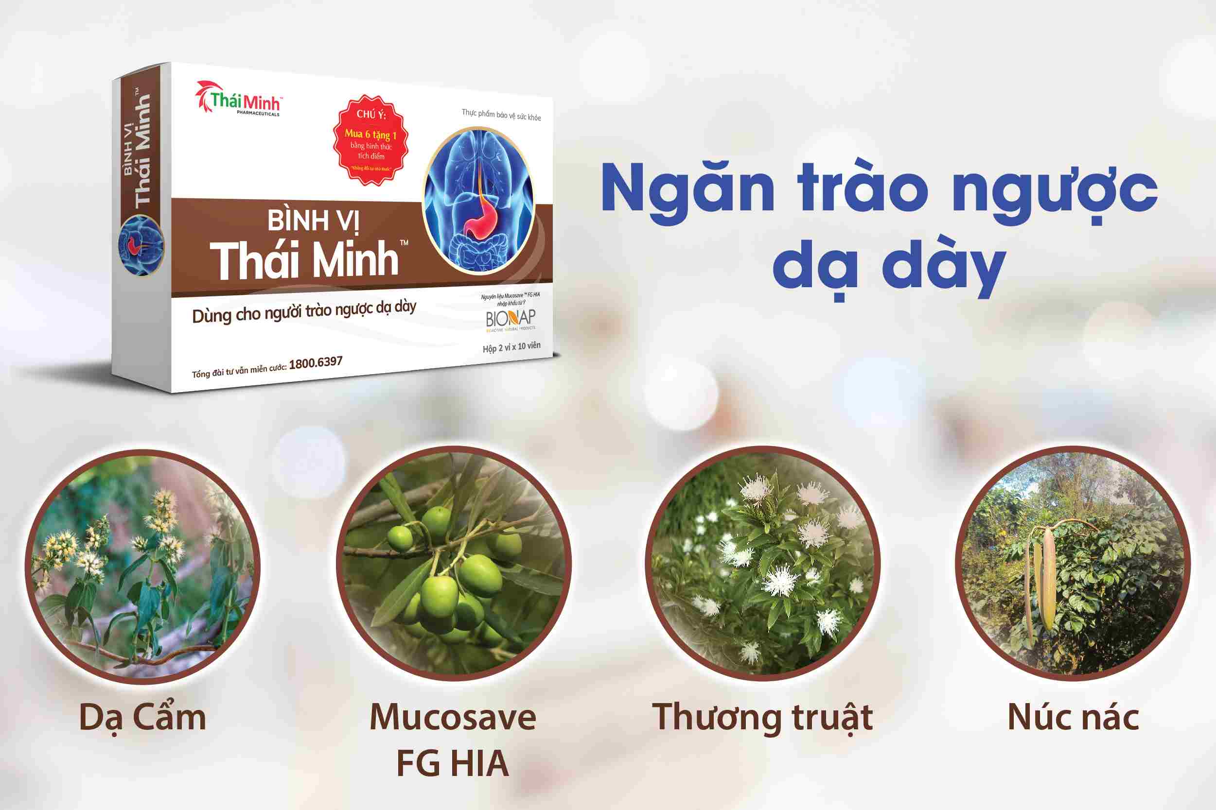 Bình Vị Thái Minh - Giải pháp bệnh trào ngược dạ dày 1