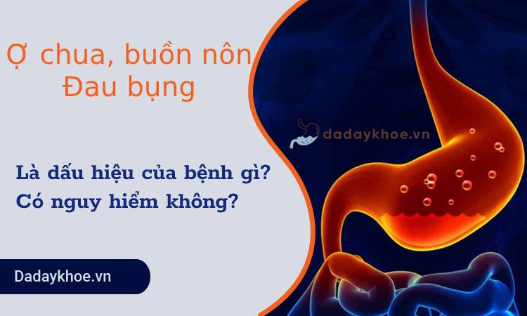 Ợ chua, buồn nôn, đau bụng là dấu hiệu của bệnh gì? Có nguy hiểm không?