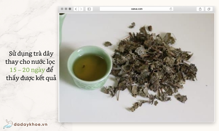 3. Làm thế nào để uống trà cây thì là có hiệu quả trong điều trị đau dạ dày 1
