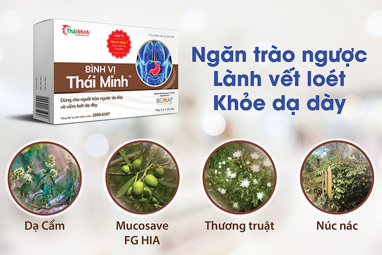 Bình vị Thái Minh- Giải pháp hỗ trợ điều trị viêm loét dạ dày 1