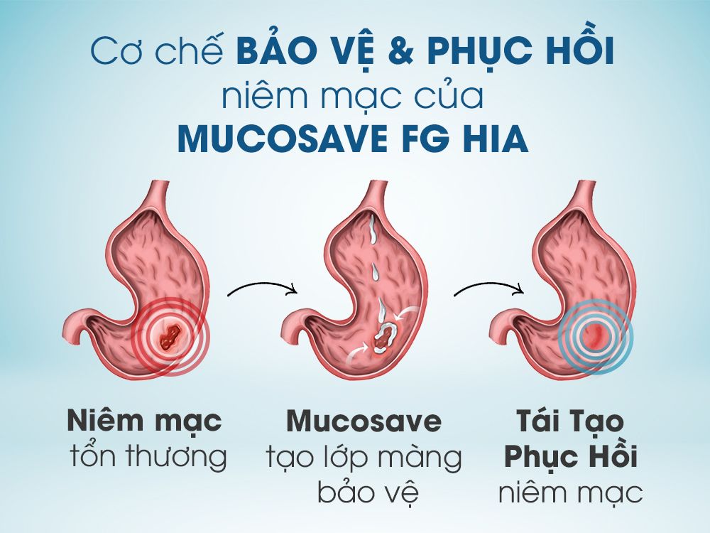 Bình Vị Thái Minh- hỗ trợ điều trị đau dạ dày 1