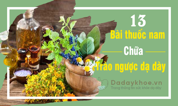 Thuốc nam có tác dụng cải thiện triệu chứng của trào ngược dạ dày như thế nào?
