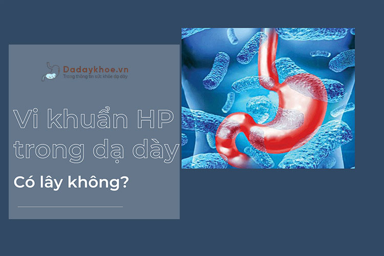 Vi khuẩn HP trong dạ dày có lây không? 1