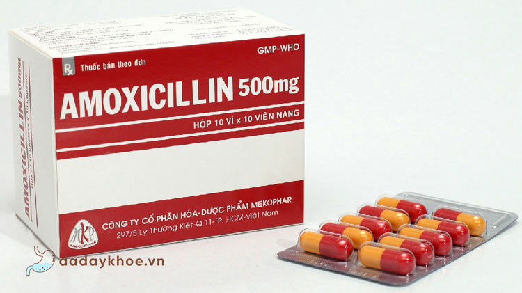 1. Amoxicillin 1
