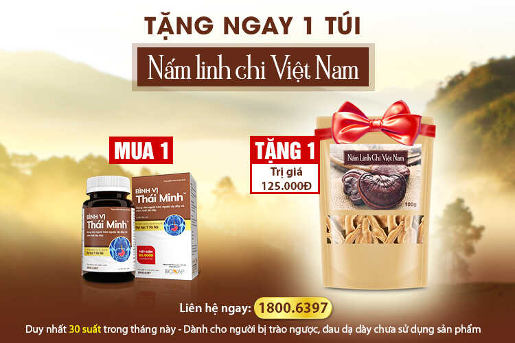 Ưu đãi hấp dẫn: Tặng ngay 1 túi nấm linh chi Việt Nam khi mua 1 lọ Bình Vị Thái Minh 80 viên 1