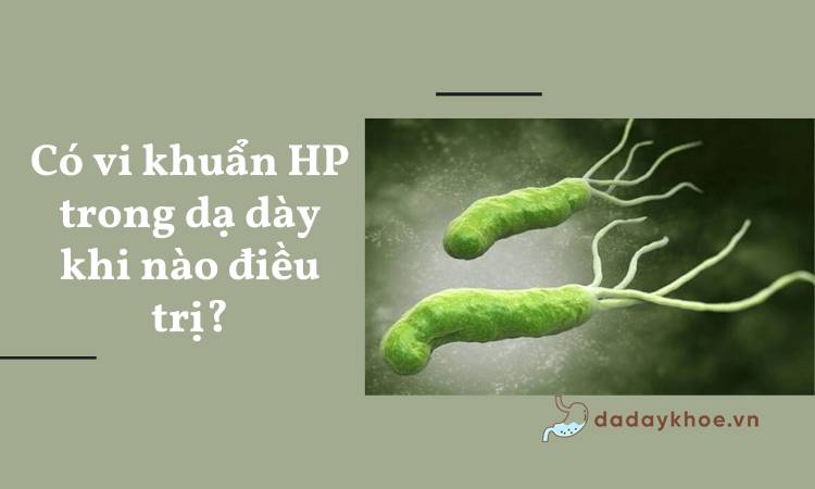 Phương pháp điều trị khi có vi khuẩn HP trong dạ dày?